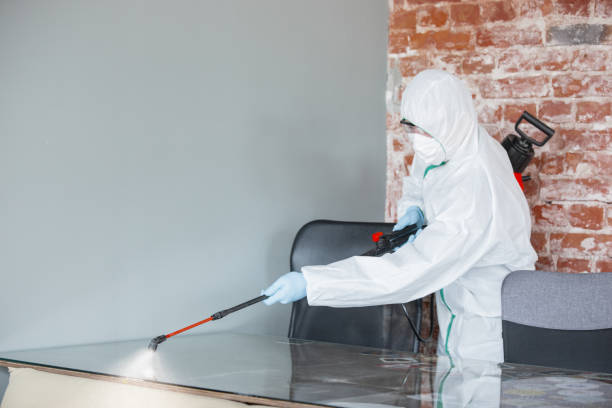 Best Crawl Space Mold Remediation in Lo, HI